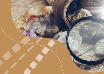 “Ridder-Polymetal” plans to extract polymetallic and copper-bearing ores at the Strezhansky deposit. The asset, for which the subsoil user obtained a license in 2017, is located in the East Kazakhstan region.  Underground mining at the Strezhansky deposit is expected to continue until 2038. The mining plan has been published on Kazakhstan’s Unified Environmental Portal. Public hearings on the project will take place on March 11, 2024. Most likely, development of the deposit will begin this year after coordination with environmentalists and the public.  The reserves of the site were included in the state balance in 2016. The balance reserves of ore amount to 4,831 thousand tons, while off-balance reserves amount to 2,362 thousand tons. The deposit contains the following valuable components for extraction: copper (85.3 thousand tons), zinc (212.4 thousand tons), lead (38 thousand tons), gold (2.63 tons), silver (268.1 tons), cadmium (787.8 tons), and bismuth (514.4 tons).  By the second year of operation of the mine, the company aims to achieve a productivity of 240 thousand tons, and by the fifth year, 360 thousand tons of ore per year.  The “Ridder-Polymetal” website notes that the project will enable the supply of raw materials to the ore processing plant in Altai, the capacity of which is being reduced due to the depletion of local deposits.