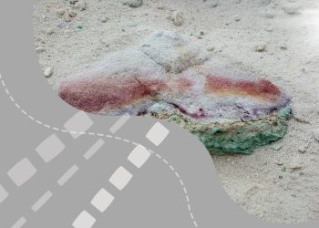 Foreign investors have united to search for copper in the Republic of Kazakhstan