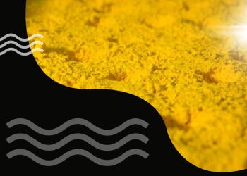 Analysts View Kazatomprom’s Financial Report Positively Despite Uranium Sales Dip